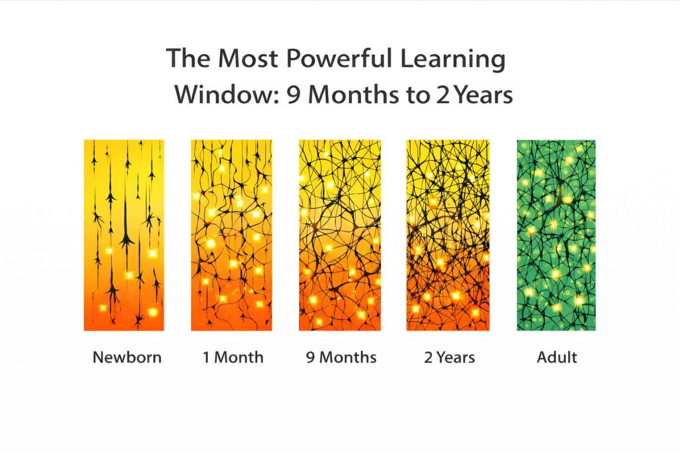 The Most powerful leaning window_